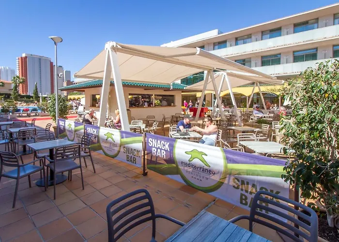 Los Mejores Hoteles Pet Friendly en Benidorm